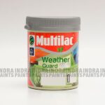 Multilac Weather Guard Ultra Brilliant White 1L